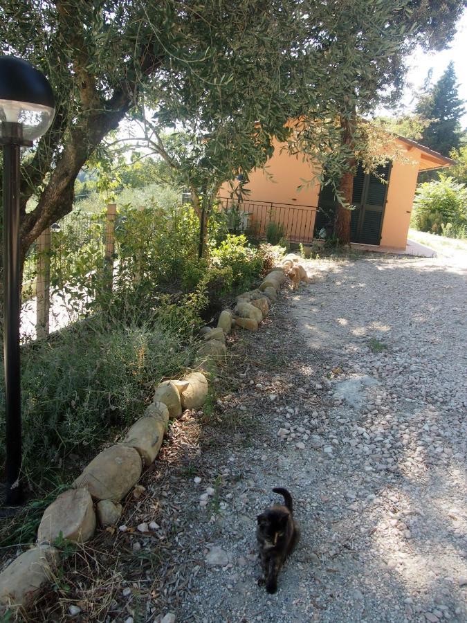 Agriturismo Ardizio 43 Pésaro Exterior foto
